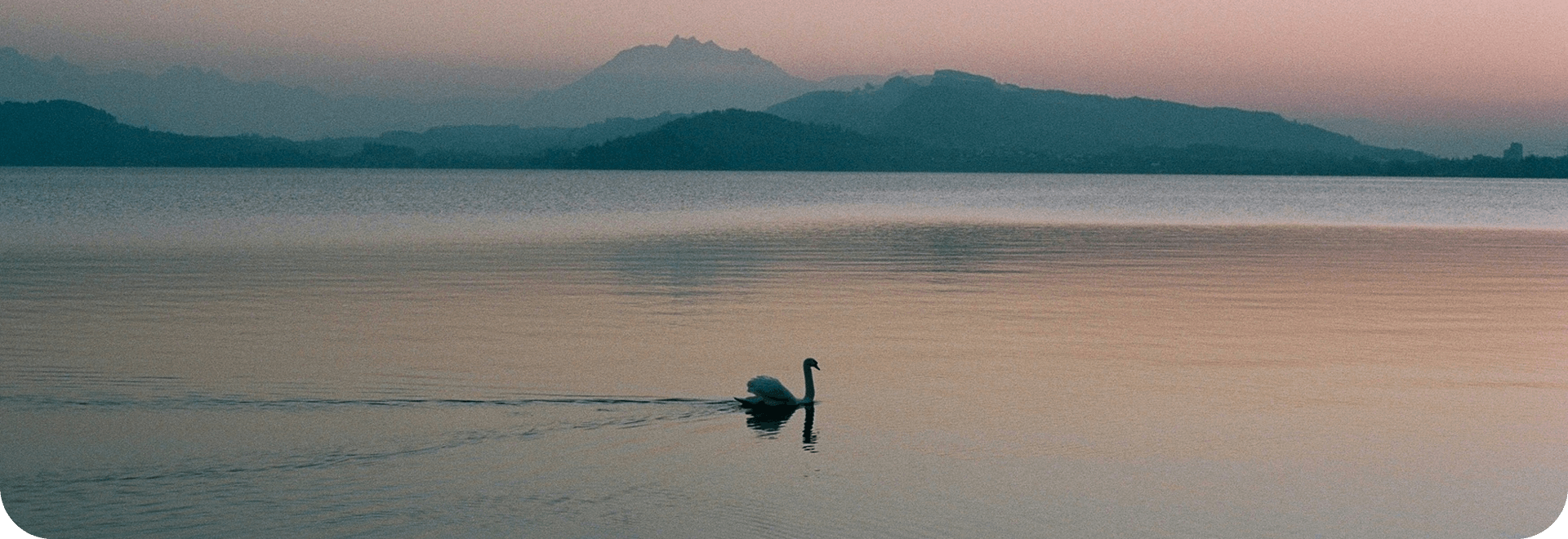 Alt текст для изображения Изображение