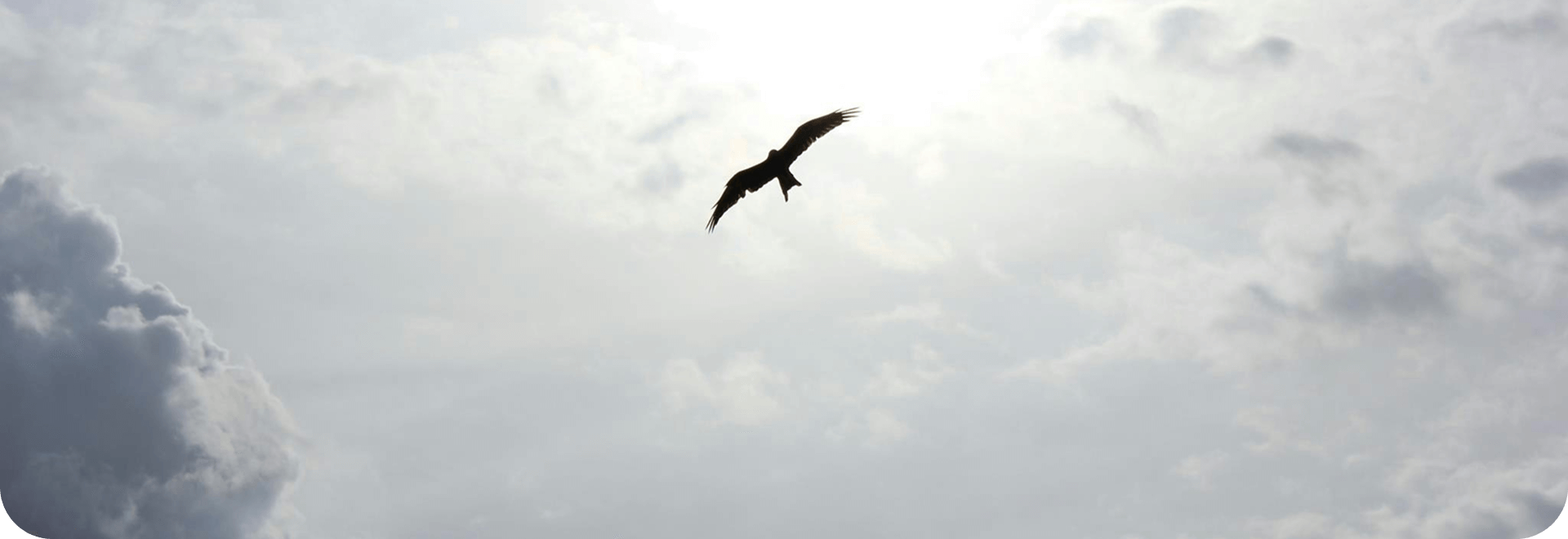 Alt текст для изображения Изображение