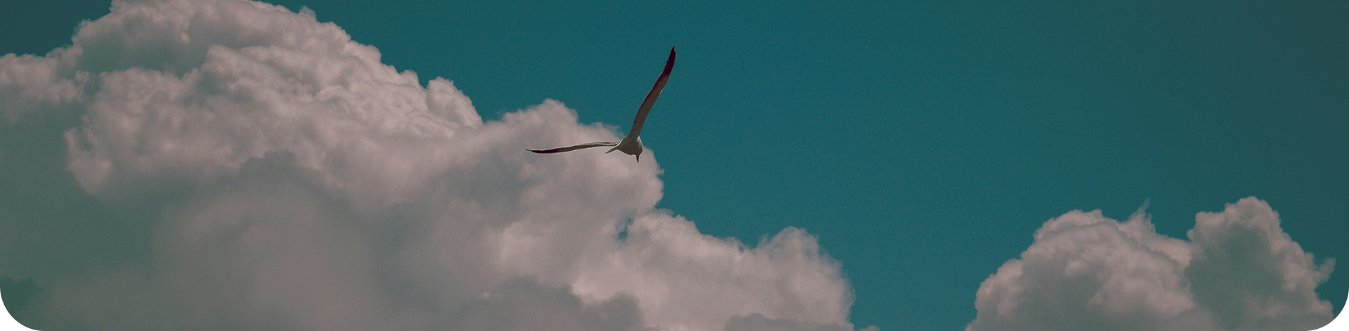 Alt текст для изображения Изображение